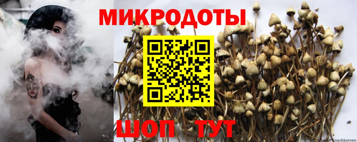 Галлюциногенные грибы GOLDEN TEACHER Заволжье