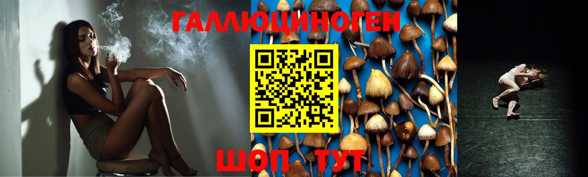 Галлюциногенные грибы ЛСД  Вход с VPN  Заволжье 