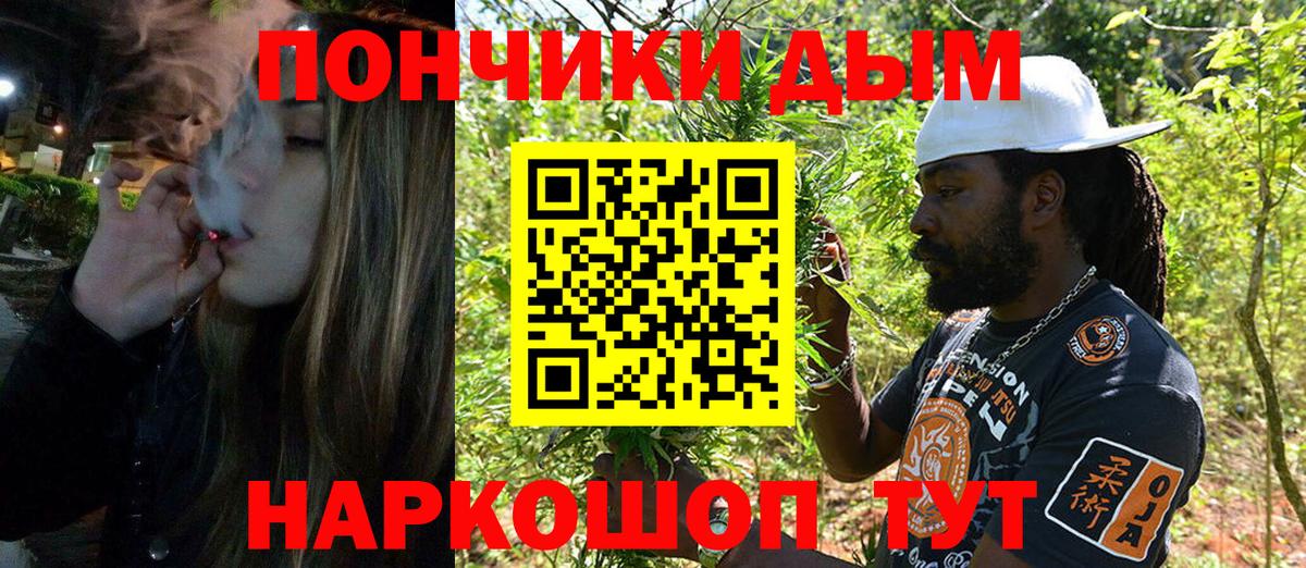 МАРИХУАНА гибрид Заволжье